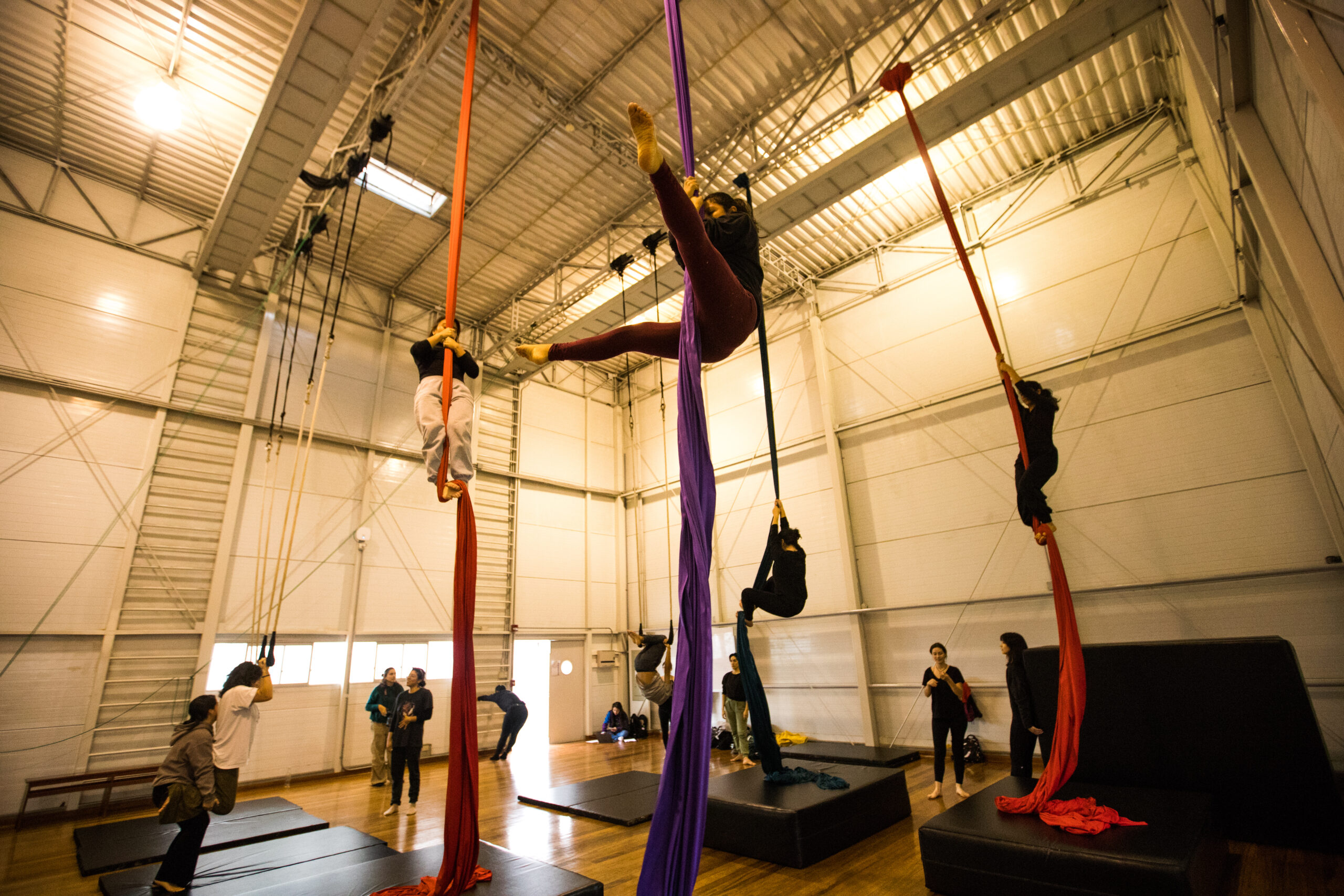 Aula de Danza W103