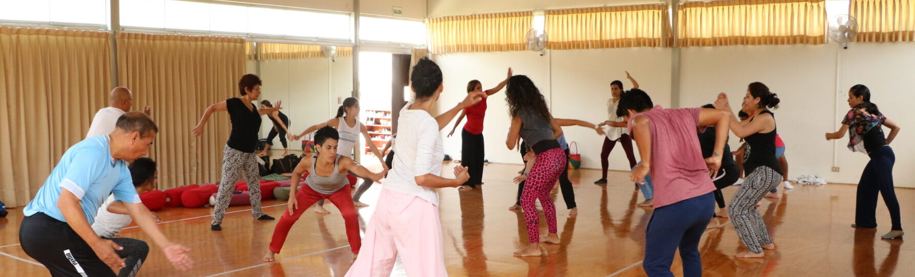 Diplomatura de Estudio en Pedagogía de la Danza 2026