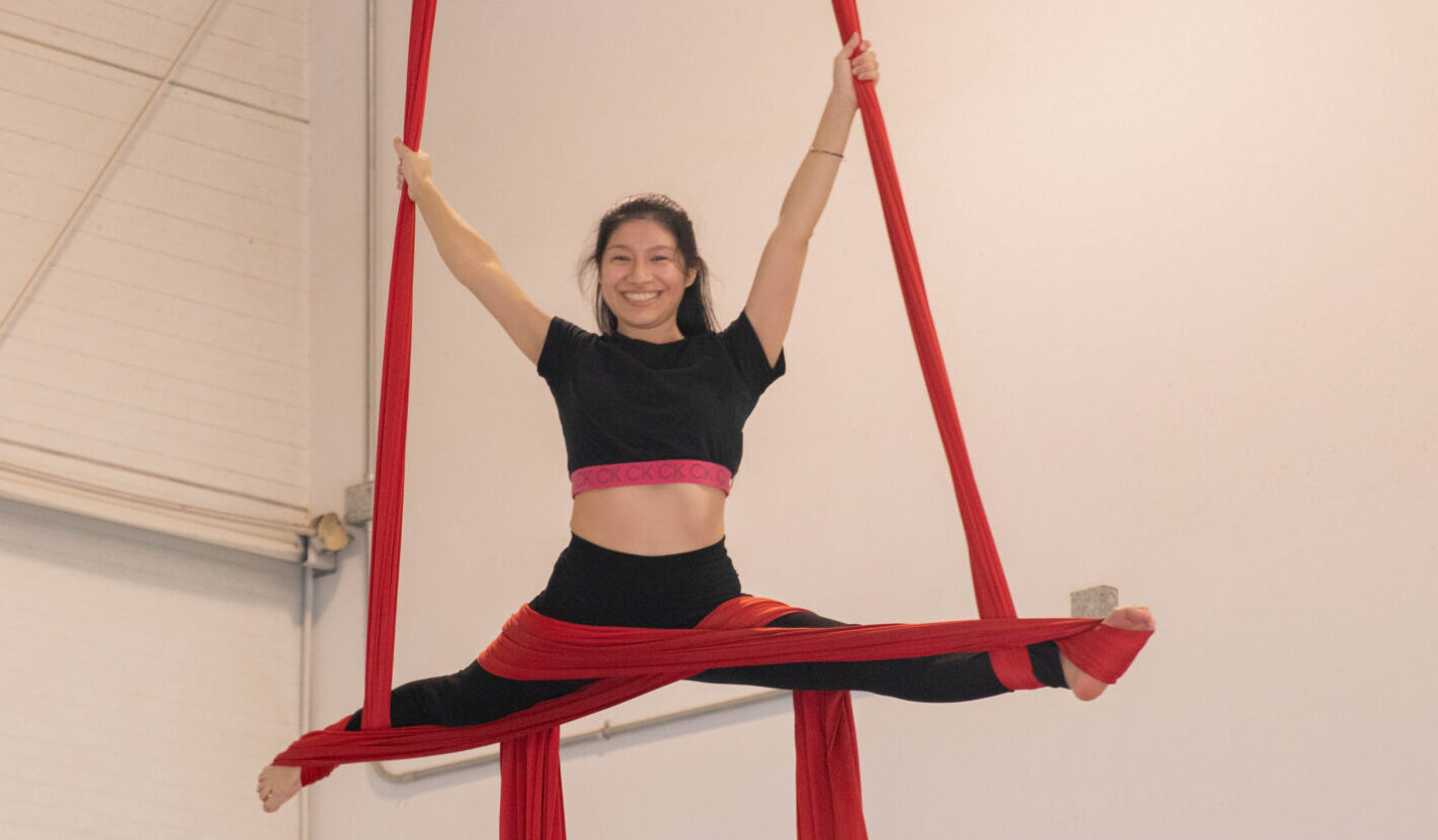 Taller de Danzas Aéreas (Adultos)